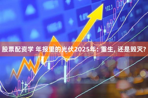 股票配资学 年报里的光伏2025年: 重生, 还是毁灭?