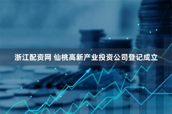 浙江配资网 仙桃高新产业投资公司登记成立