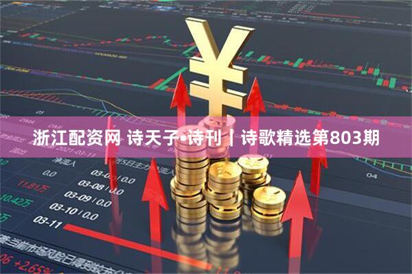 浙江配资网 诗天子•诗刊｜诗歌精选第803期