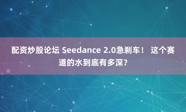 配资炒股论坛 Seedance 2.0急刹车！ 这个赛道的水到底有多深？